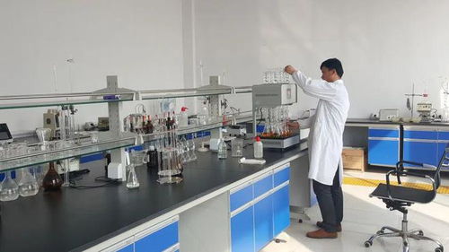 東營港經(jīng)濟(jì)開發(fā)區(qū) 以企業(yè)技術(shù)改造為抓手，驅(qū)動產(chǎn)業(yè)轉(zhuǎn)型升級與技術(shù)開發(fā)新突破