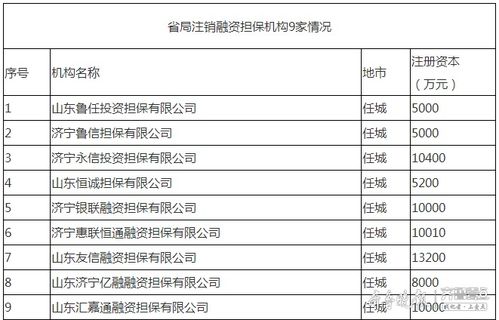 濟(jì)寧9家融資擔(dān)保機(jī)構(gòu)退出市場，行業(yè)規(guī)范再升級