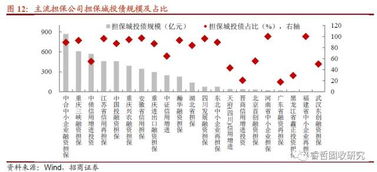 6號文紓民企出新招，堵城投斬?fù)?dān)?！谫Y性擔(dān)保機(jī)構(gòu)角色再思考